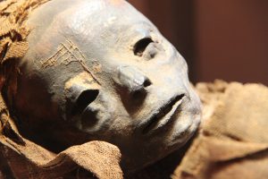 The Weirdest Museums In The World, Ranked