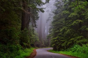 Time For A Drive To The 5 Most Beautiful National Parks In The U.S.