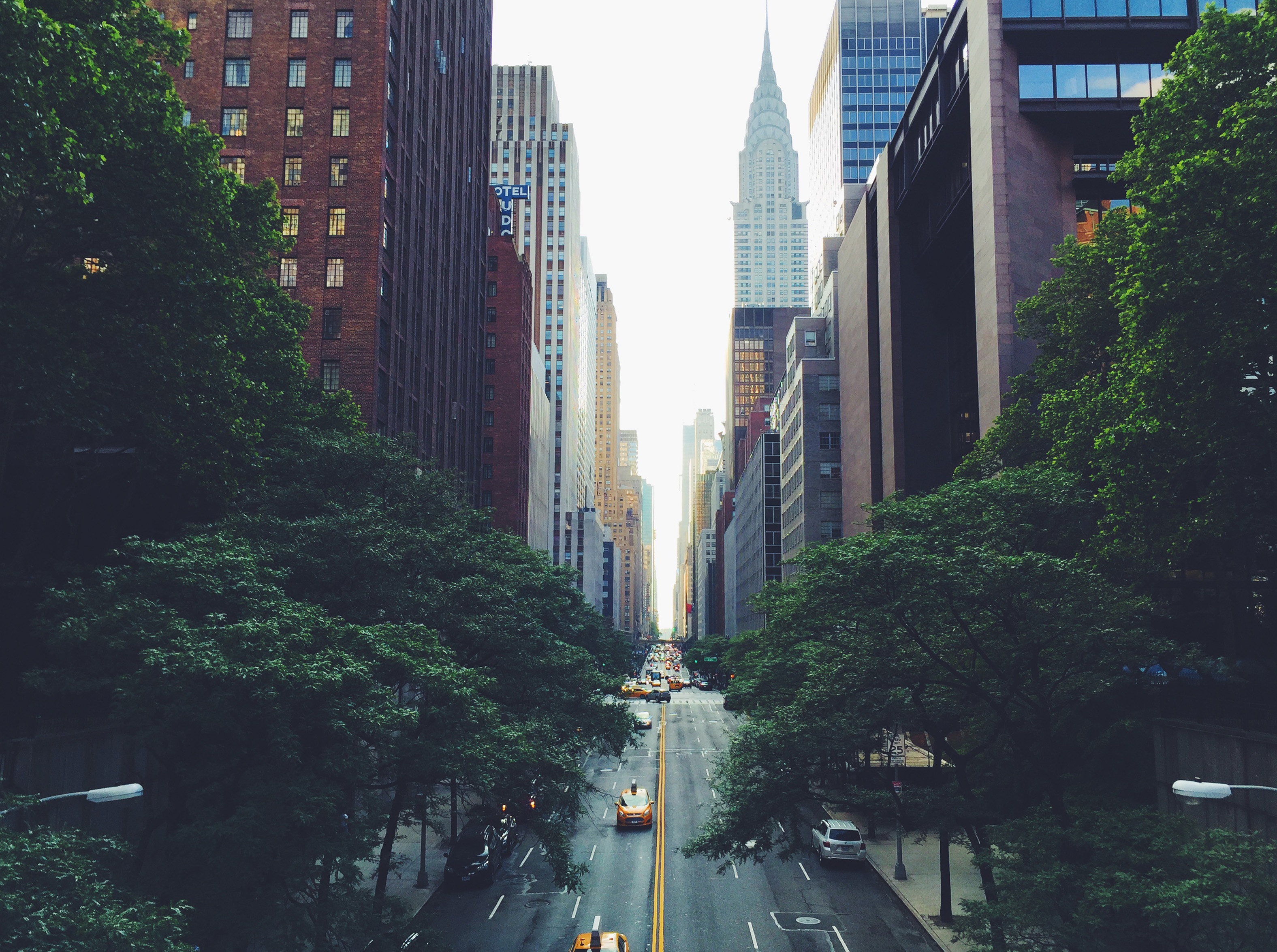 People Share Their Best 'Only In New York' Stories