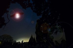 Wary Travelers Reveal The Places They Would Never Visit Again