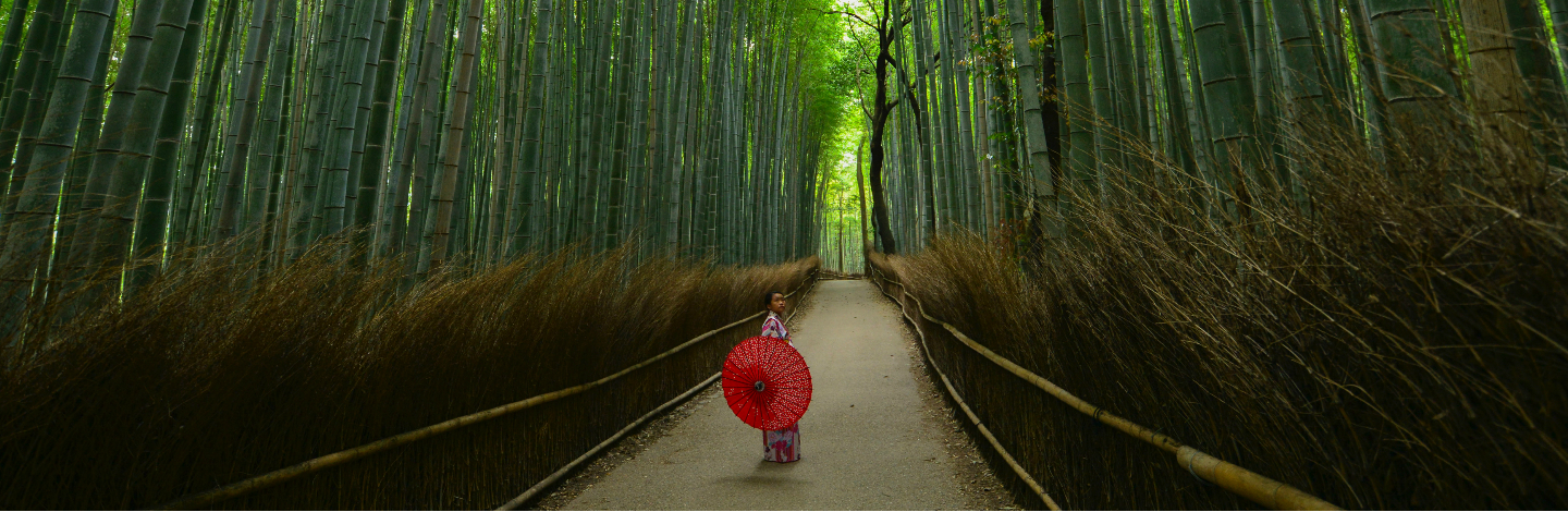 Travelers Share Their Weird And Wonderful Japan Stories