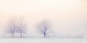 Knowledgable People Around The World Debunk Bad Survival Advice