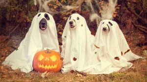 Get Haunted: 40 Of The Best Places To Celebrate Halloween Around The World