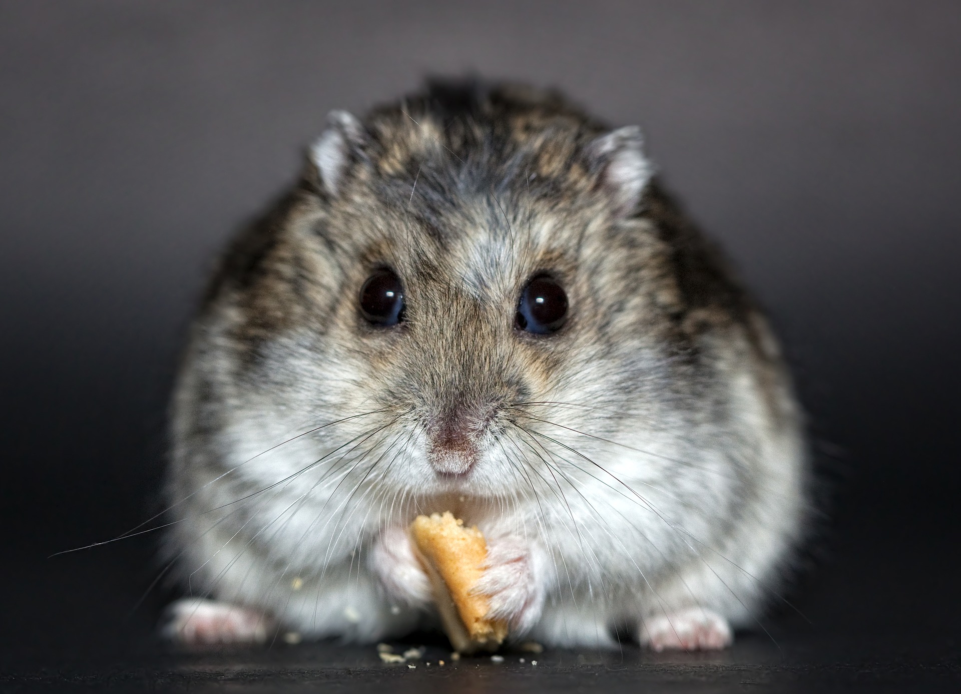 People From Around The World Share Times Their Gut Instinct Turned Out To Be Right