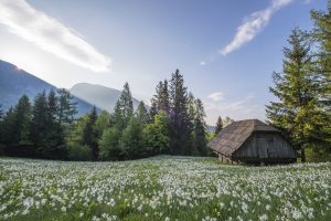 People From Around The World Reveal Their Weirdest Experiences In Isolated Places
