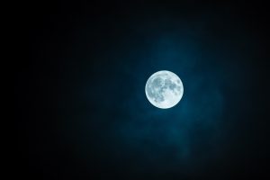 Campers Share Spooky Experiences They Had In The Wilderness