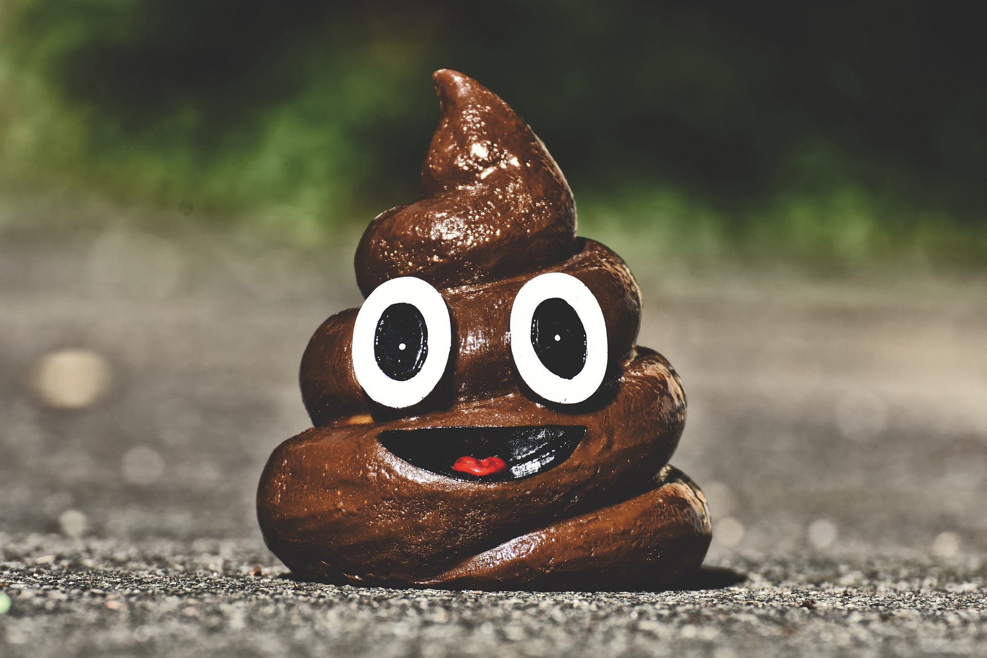 25. I’ll take any excuse to use this smiling poop picture.