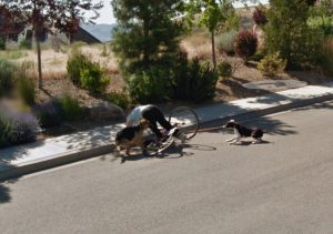 People From Around The World Share The Weirdest Google Street Views
