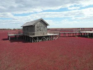 35 Amazing And Mysterious Natural Wonders