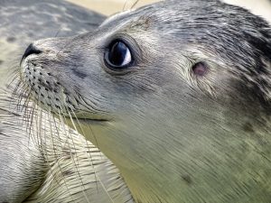 Divers From Around The World Share Tales From The Deep