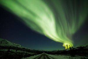 People From Around The World Share The Scary Things They Saw Driving At Night