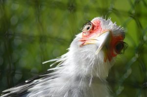 Worst House Guests: These House Guests Are Never Invited Back