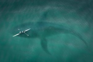 People From Around The World Share Their Strange Encounters On The Water At Night