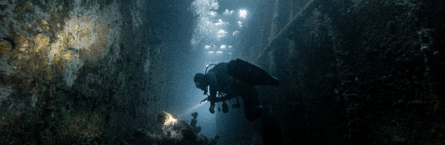 Divers From Around The World Share Tales From The Deep