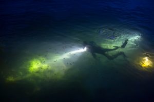 Divers From Around The World Share Tales From The Deep