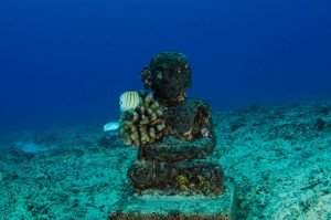 Divers From Around The World Share Tales From The Deep
