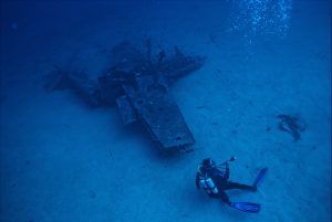 Divers From Around The World Share Tales From The Deep
