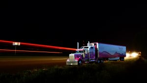 People From Around The World Share The Scary Things They Saw Driving At Night