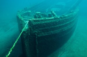 Divers From Around The World Share Tales From The Deep