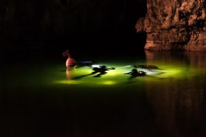 Divers From Around The World Share Tales From The Deep