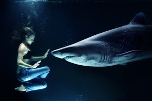 Divers From Around The World Share Tales From The Deep