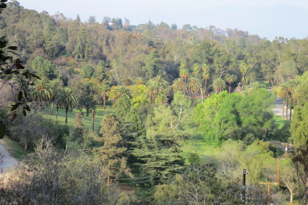 Elysian_Park_Los_Angeles_Ca-1024x682.jpg