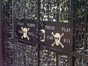 poison garden gate alnwick castle