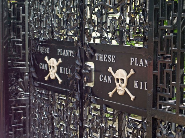poison garden gate alnwick castle