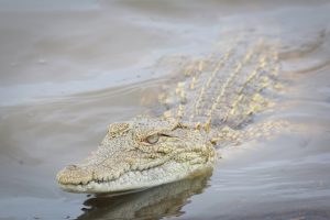 The 25 Deadliest Attractions To Tick Off Your Bucket List