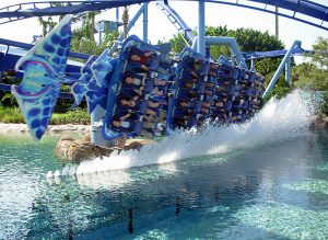 The 50 Best Roller Coasters In The World, Ranked