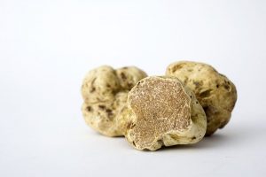 Take A Bite Of The 40 Most Expensive Foods In The World
