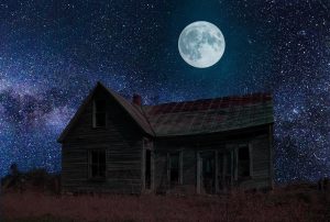 Haunted House Actors From Around The World Share Their Best Halloween Stories