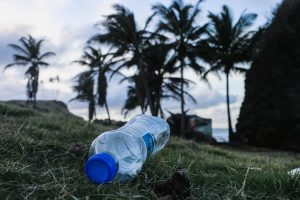Stay On Top Of The World With The Eco-Friendly Travel Trend