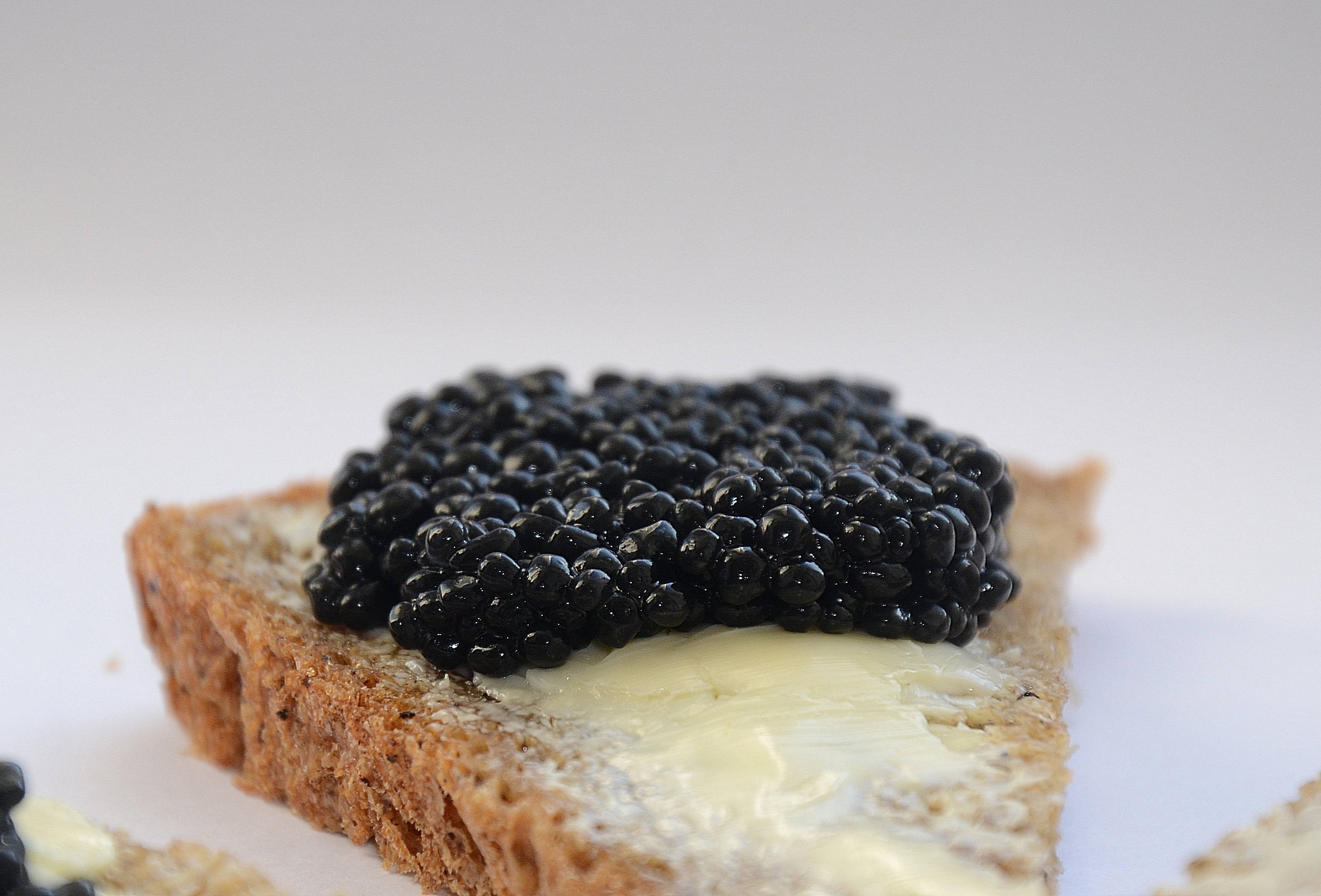 Take A Bite Of The 40 Most Expensive Foods In The World
