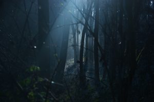 Hikers And Campers Share Their Strange Encounters In The Wild
