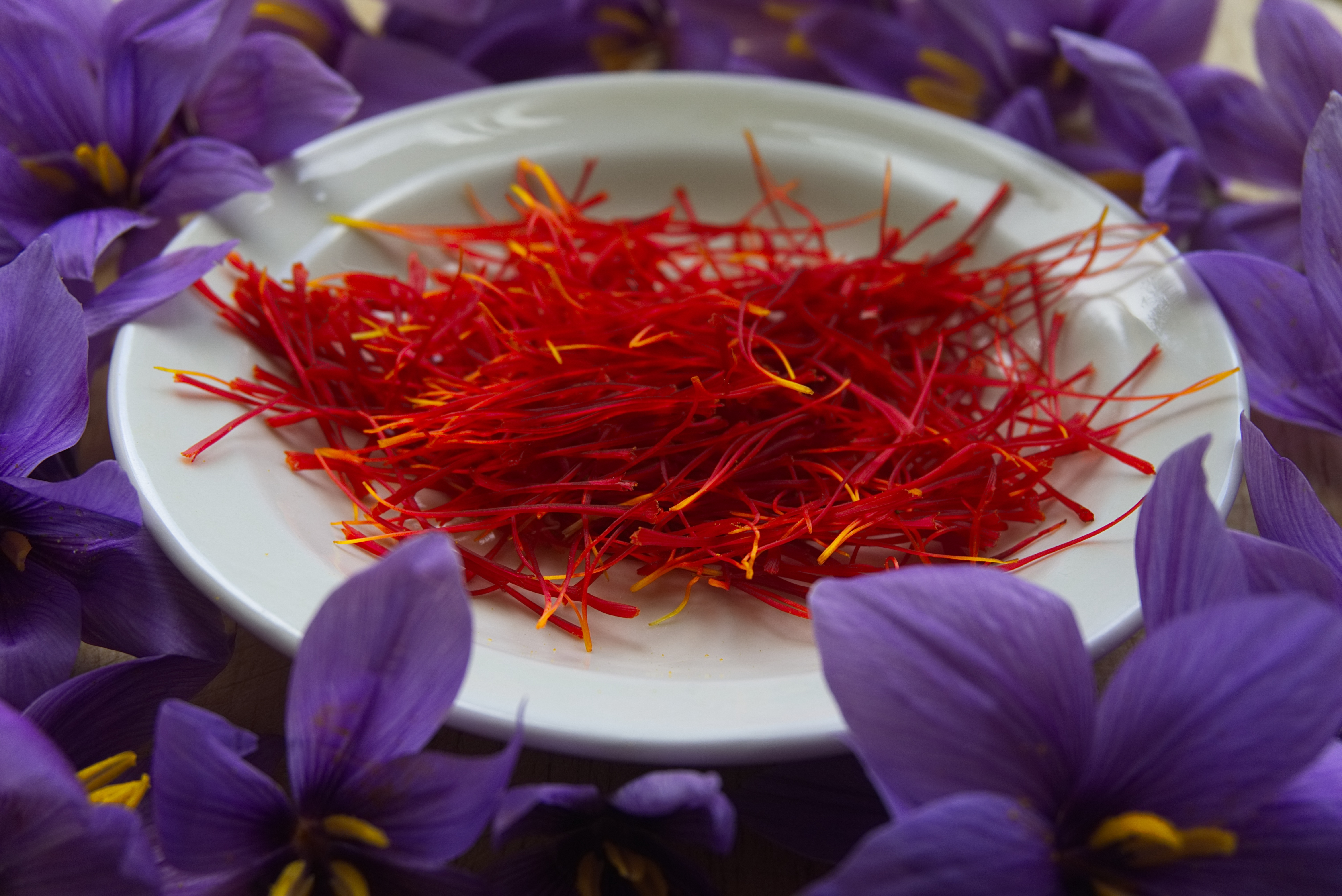 Take A Bite Of The 40 Most Expensive Foods In The World