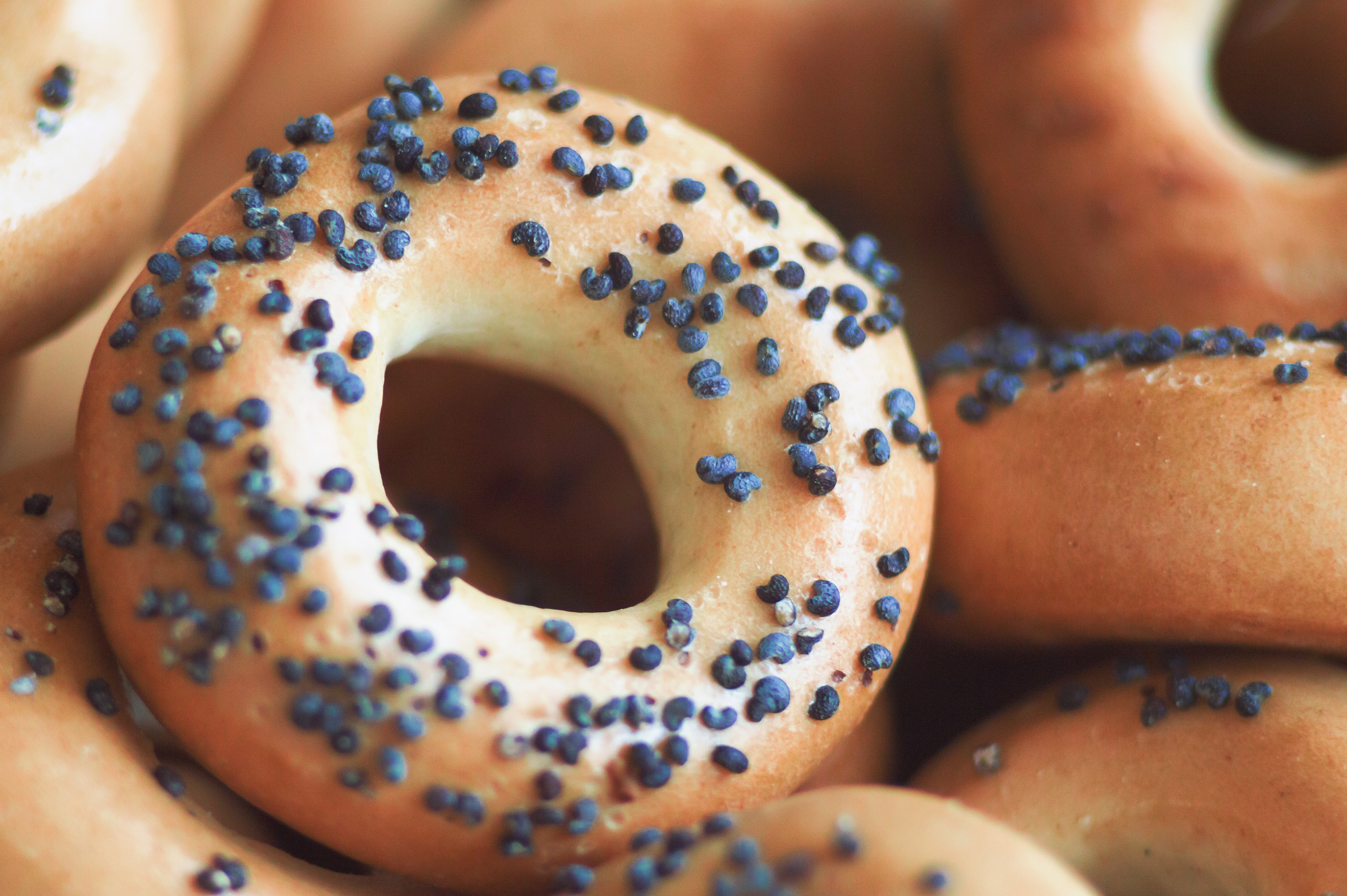 Take A Bite Of The 40 Most Expensive Foods In The World