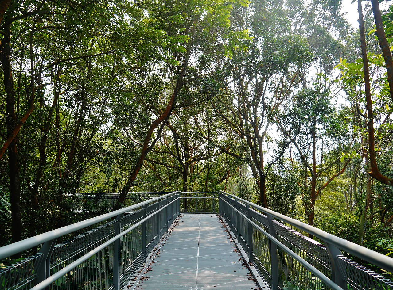 The Ultimate Guide to Visiting Singapore