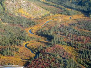 Go Wild: The Least Visited National Parks In The US, Ranked
