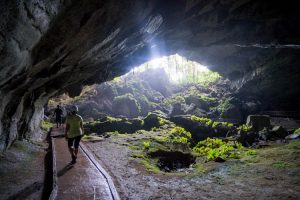 Go Wild: The Least Visited National Parks In The US, Ranked