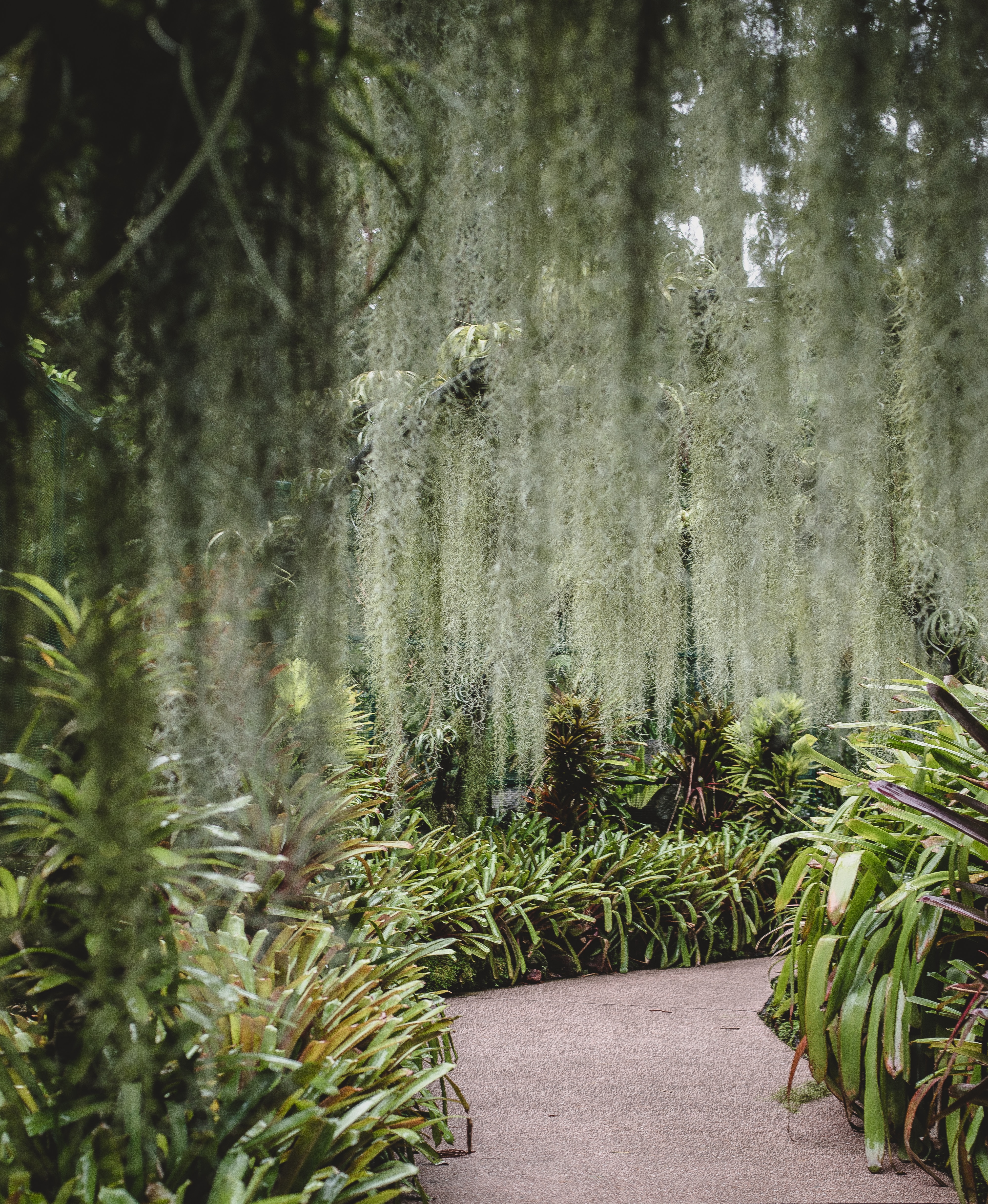 The Ultimate Guide to Visiting Singapore