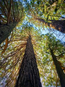 Go Wild: The Least Visited National Parks In The US, Ranked