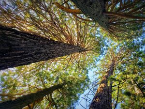 National Park Rangers Share Their Scary Encounters On The Job