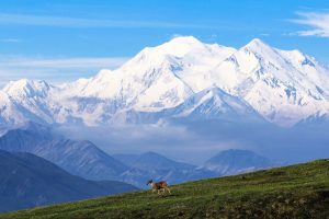 Go Wild: The Least Visited National Parks In The US, Ranked