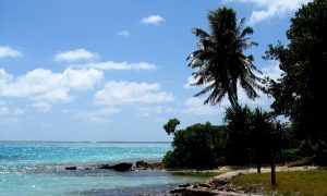 The Least Populated Countries In The World, Ranked