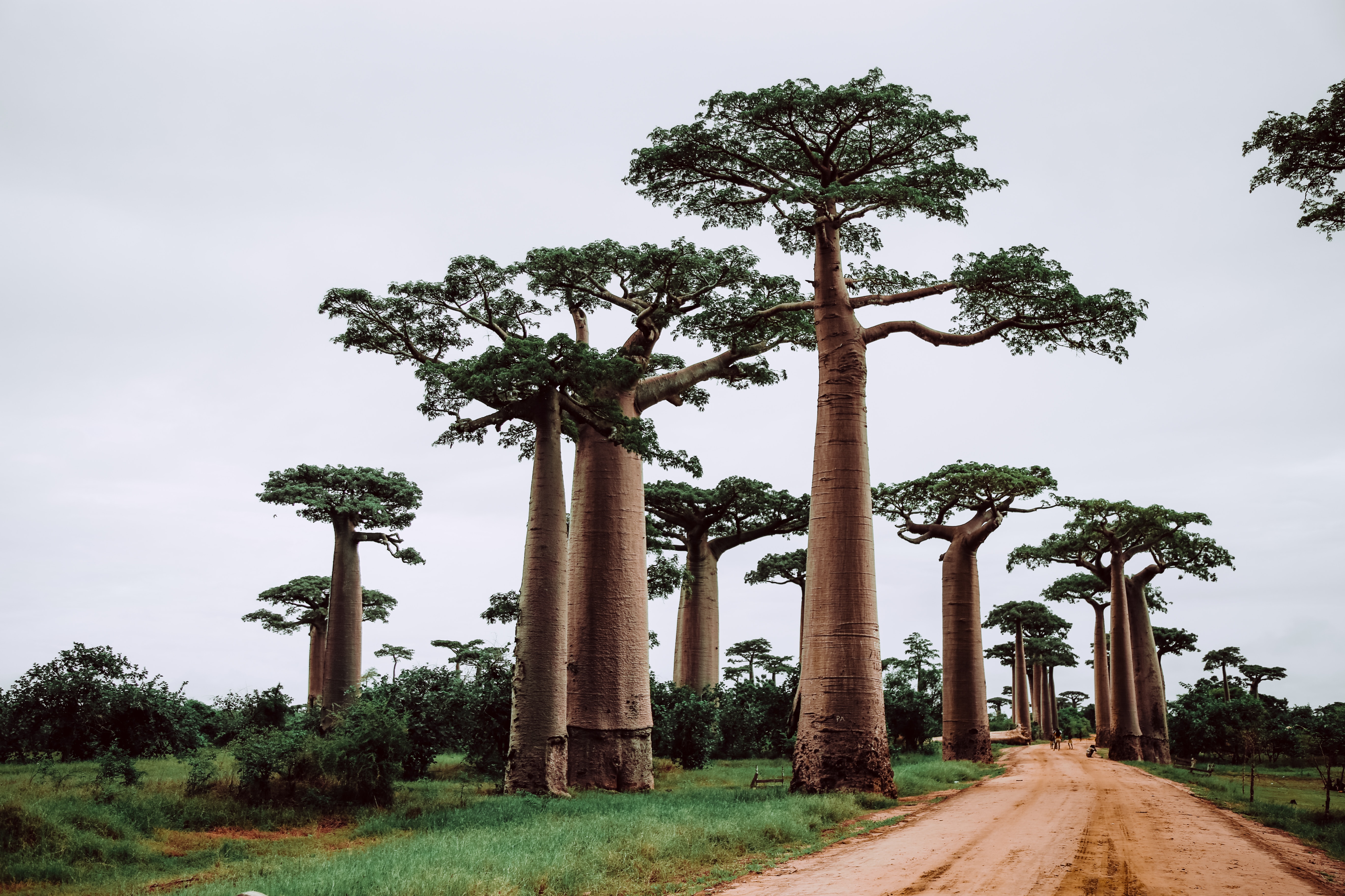 The Least Visited Countries In The World, Ranked
