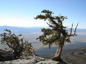 Go Wild: The Least Visited National Parks In The US, Ranked