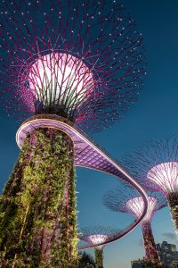 The Ultimate Guide to Visiting Singapore
