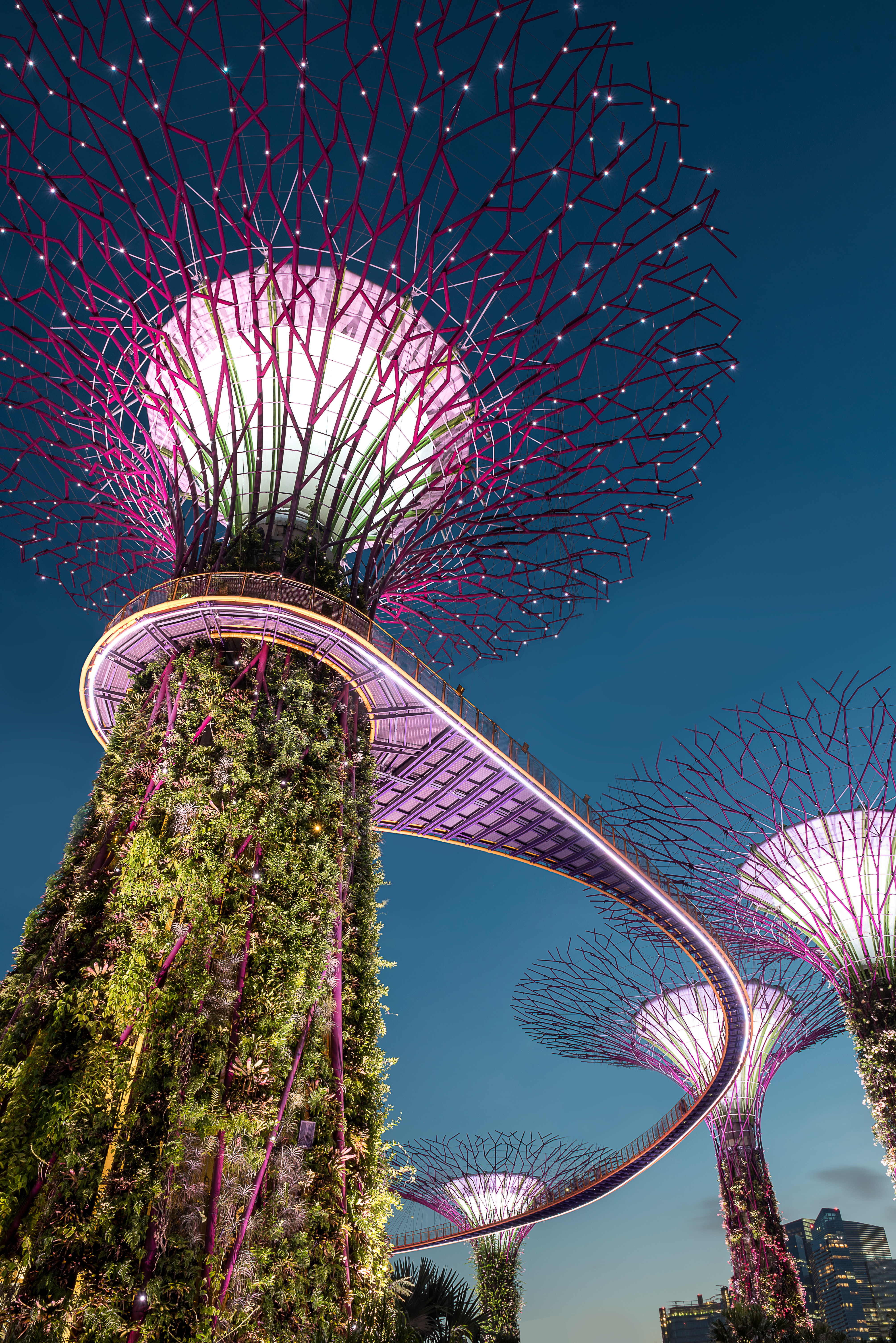 The Ultimate Guide to Visiting Singapore
