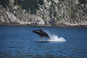 Go Wild: The Least Visited National Parks In The US, Ranked